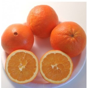 Апельсин Навелина