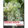 Комплект 5шт / Виноград Княгиня Ольга (Ранний/Белый) (Предзаказ)